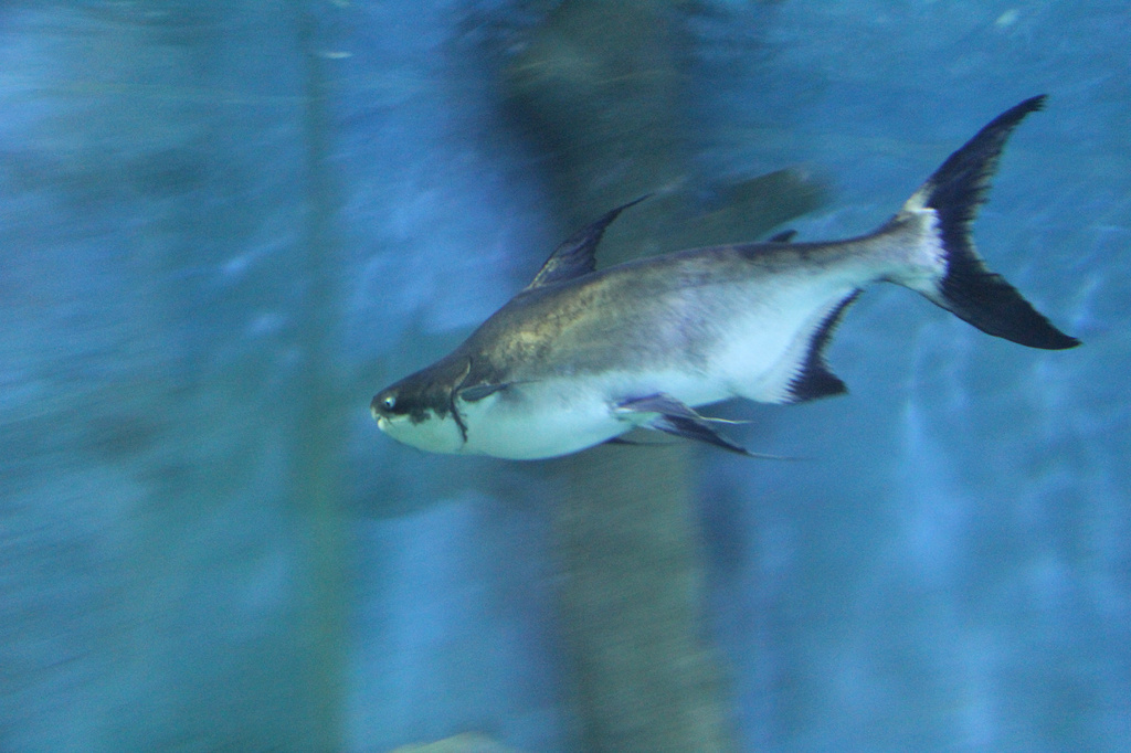 2015苏州海洋馆_旅游攻略_门票_地址_游记点