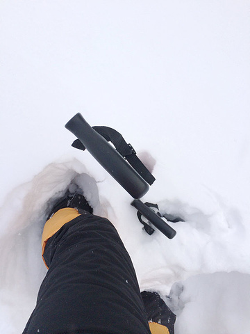 2015一觉醒来,门口的雪半人高了。_雪乡评论