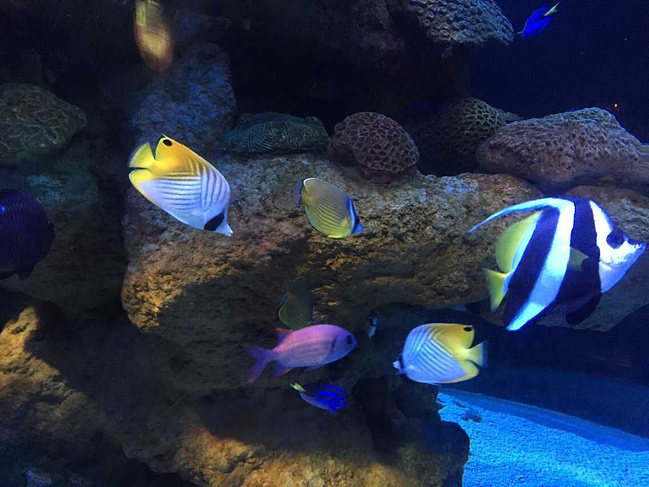 北京工体富国海洋馆_北京旅游攻略