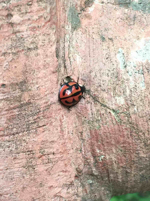 2015太平森林公园_旅游攻略_门票_地址_游记