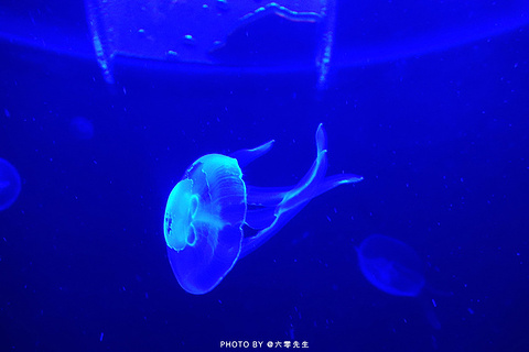 2015滨海航母主题公园_旅游攻略_门票_地址_