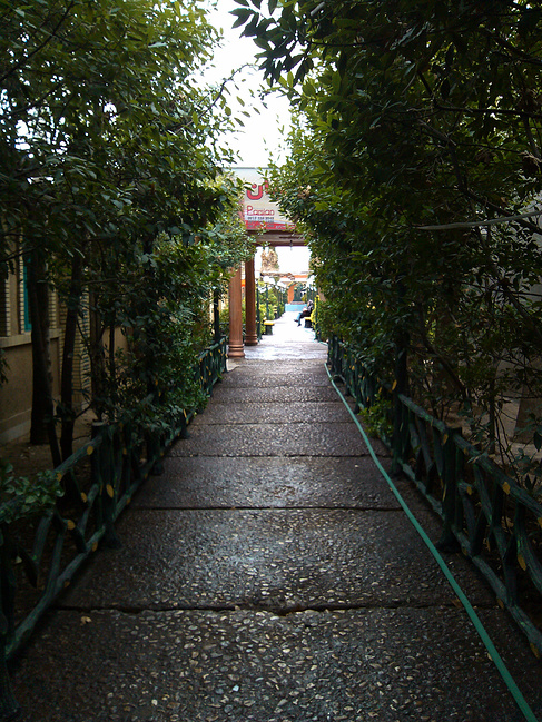 畅游波斯--伊朗十二天徒步行_设拉子旅游攻略