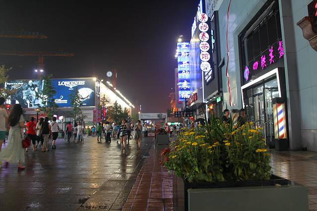 王府井是北京的四大商圈之一,所以这个地方是必去的,它离景点天安门很近,它离购物的东单、西单也很近,更何况它本身就是一个休闲、娱乐、购物的综合性景点了。王府井,主要是因为它源远流长的历史出名,再加上后来这大街拥有了亚洲最大的商业楼宇,密度最大、最集中的大型商场、宾馆与专卖店,基本商业化。虽然王府井也被称为王府井步行街,但是这里交叉的路口还是有行车路过的,跟上海的南京路步行街比,是没有小火车观光旅游车的,全靠步行。这里的密集的大型商场,品牌,不仅是购物者的天堂,也称为了很多其他商业考察和学习的典范,总得说来