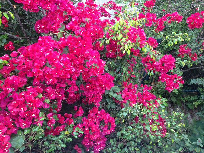 购物游玩两相宜之香港五日游_香港旅游攻略