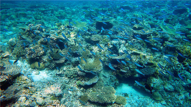 资深屌丝两度南马累环礁跳岛游待定_马尔代夫