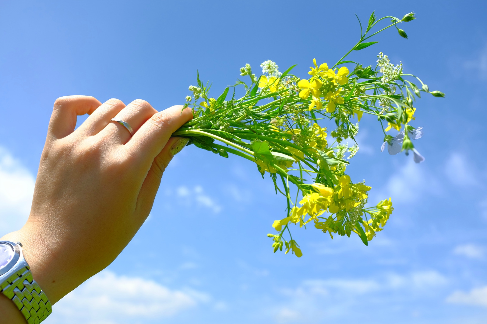 毕业季--京北自驾，避暑之旅！