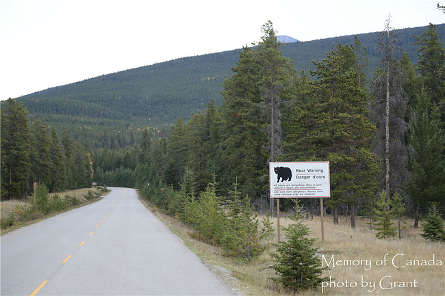 落基山、温哥华、维多利亚悠闲自由行_温哥华