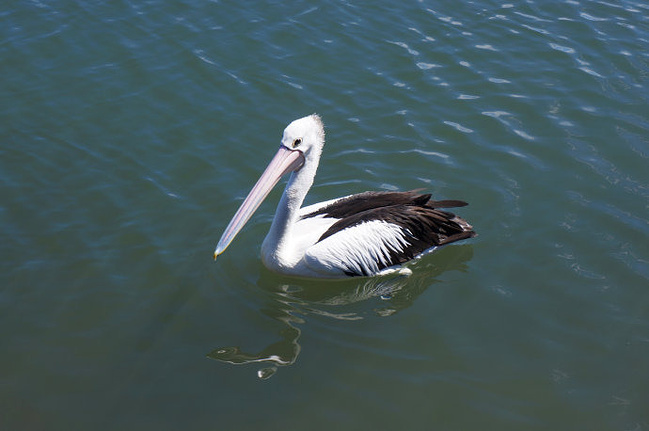 房车游澳洲,看美景享人生_悉尼旅游攻略