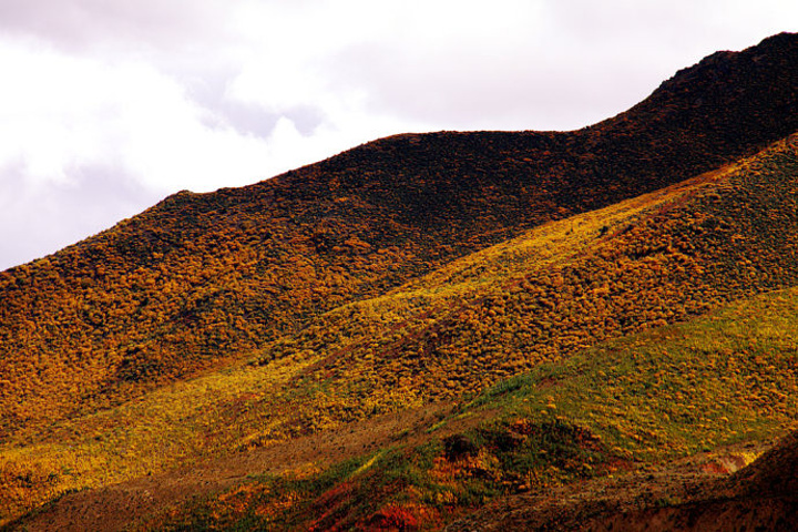 2016就是海拔最高的机场--邦达机场_邦达草原