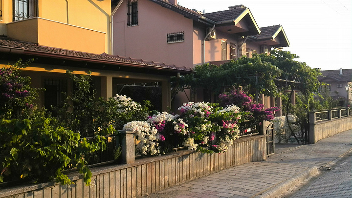 2016最后一天上午滑翔伞到差十分十二点才._