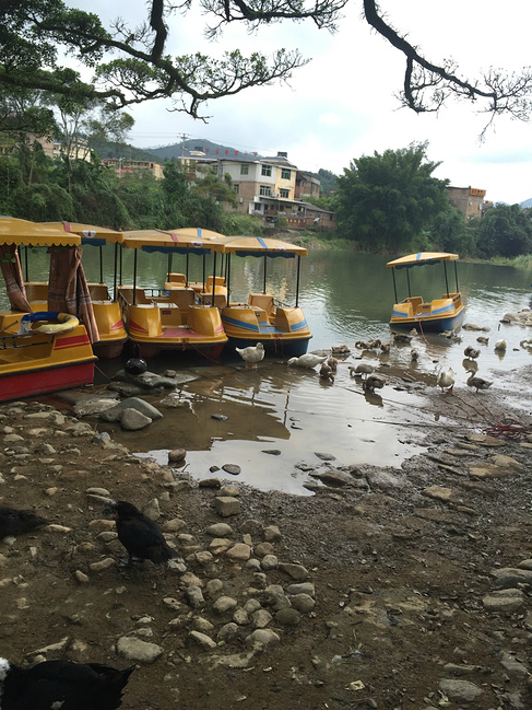 泉州出发南靖土楼云水谣一日游_漳州旅游攻略