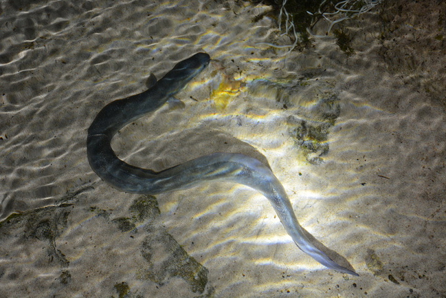 奇美胜地--索科特拉岛与萨那_上海旅游攻略_自助游攻略_去哪儿攻略社区