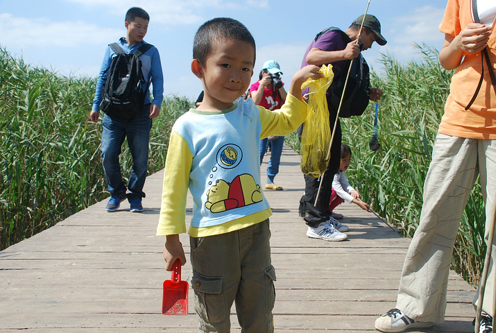2016天好的时候能看一轮红日在慢慢落入芦苇