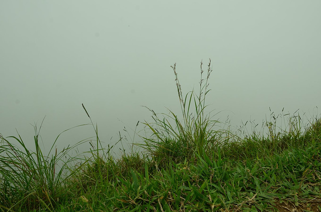 斯里兰卡,纯真国度的微笑_康提旅游攻略