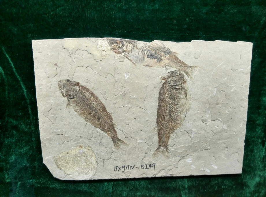 2016本溪水洞_旅游攻略_门票_地址_游记点评