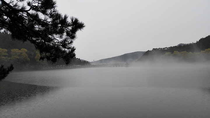 2016同样是一家网上人气很高的餐馆_庐山评论