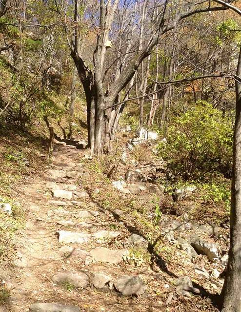 2018王顺山_v游记游记_地址_攻略_攻略逃脱,蓝点评门票13第10关密室图解法图片