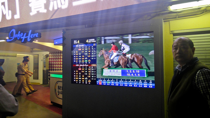 2016到次年的7月初结束(最后一次赛事叫_沙田马场评论 - 去哪儿攻略社区