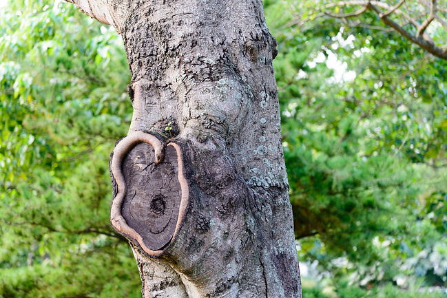 冬日家庭台湾游_花莲旅游攻略_自助游攻略_去