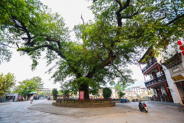 安徽宏村:行走在画里的乡村_黄山旅游攻略