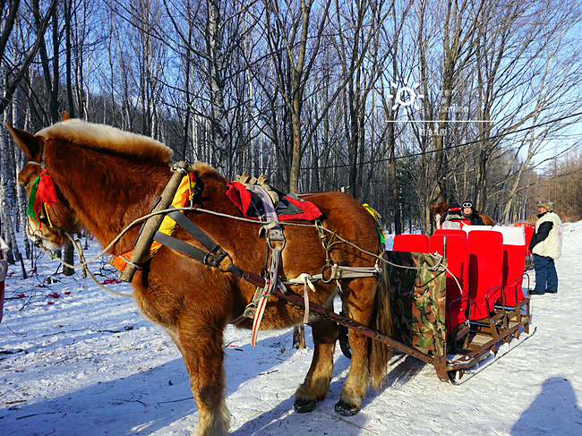 北国追冷11日|北京-黑龙江-吉林_北京旅游攻略