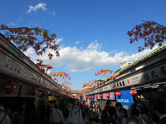 和老友来一场日本跟团游_东京旅游攻略