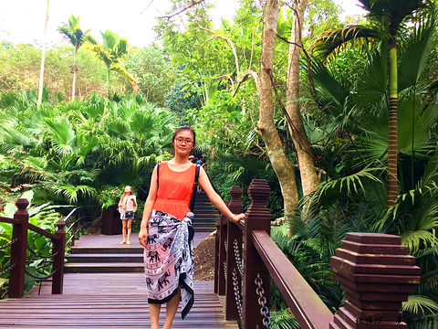 2015呀诺达雨林景区_旅游攻略_门票_地址_游