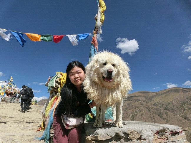 一路向西,佛心之旅_拉萨v之旅攻略需要游戏画画的通关图片