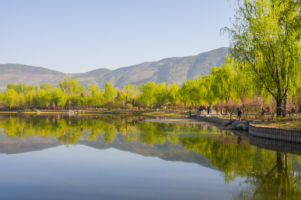 2016_04_09 植物园赏花