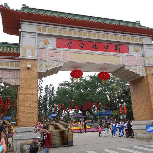 坐公交去湛江市博物馆,在寸金公园附近.
