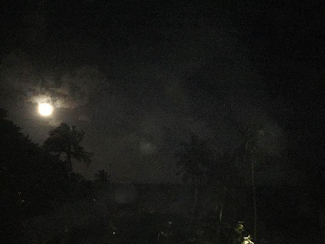 这是手机拍的,只有月亮是清晰的,漫天的星星点点基本都不在画面中,i拍图片