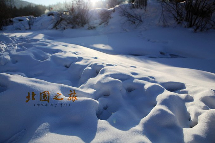 谁让我们南方人少见这种雪的大场景呢