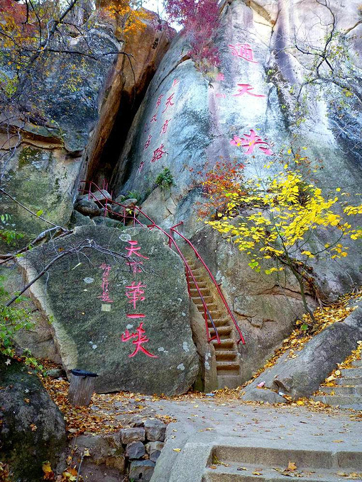 标本与科普陈列