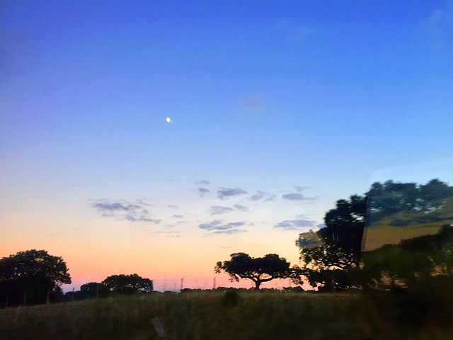 人文景观,地方不大,游览拍照30分钟就可以了….酒店早晨的风景.