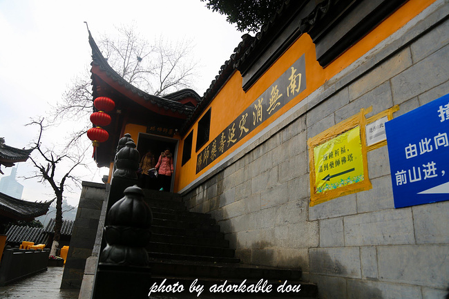 一场江浙沪的攻略之旅(580张高图带清大你玩转11月韩国自由行自驾图片