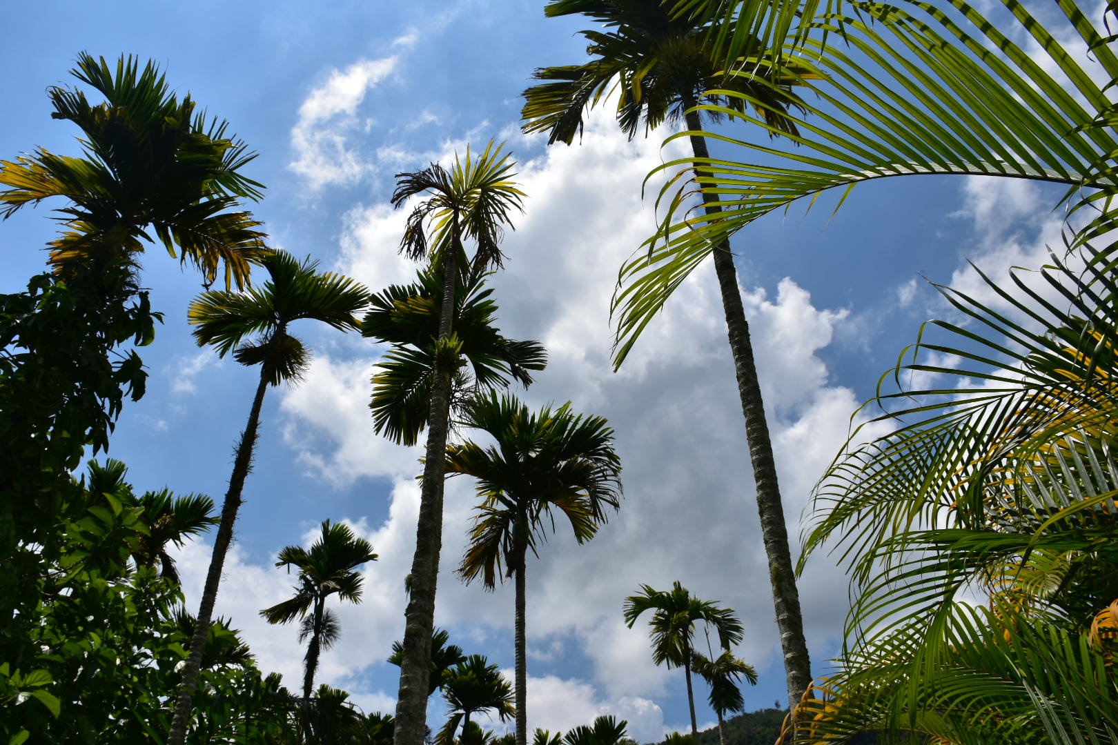 两个人的毕业旅行~~~理想的丰满到现实的残酷