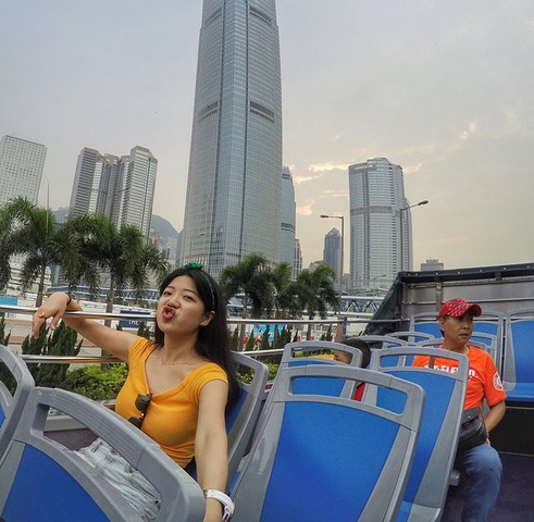 来香港一定要乘坐双层观光巴士,会途经著名景点,也可以欣赏生活化的