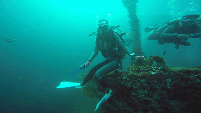 不如与我一起仗剑走天涯——2017菲律宾pg潜水刷瓶记