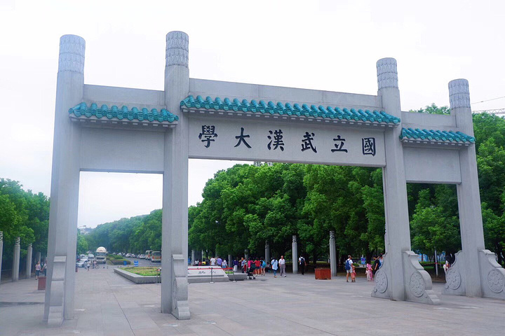 武汉大学非常大,建议选用一些交通工具游览,校内有很多共享单车,共享