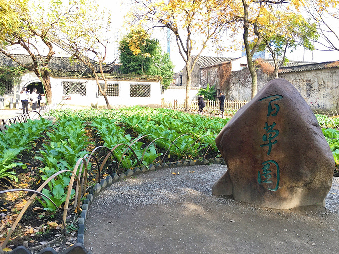 百草园图片