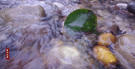 观察落叶的形状,感受水流的密度,猕猴桃的淡淡果香恰到好处,这一切