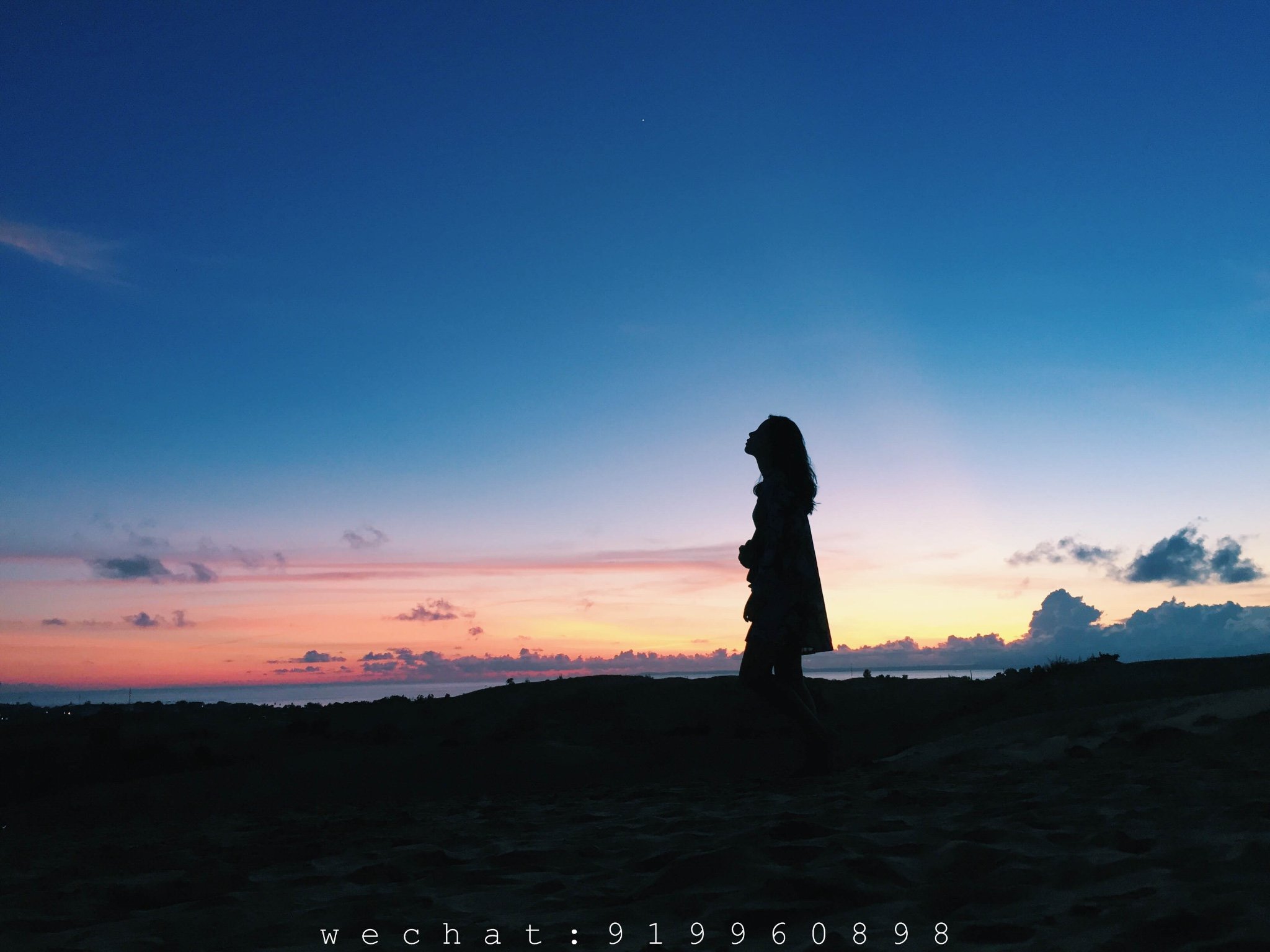 《追梦人》图片