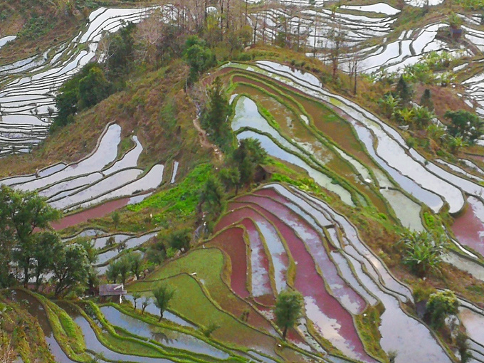 日出,日落,照梯田12…元阳哈尼梯田