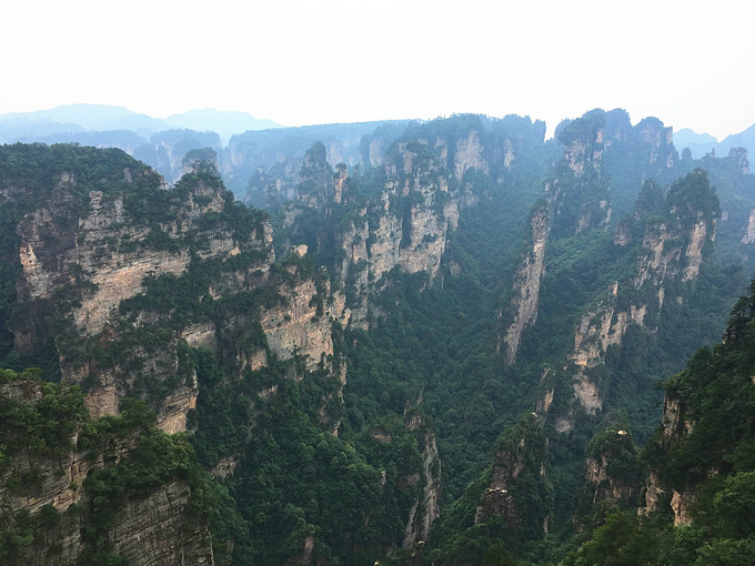 一步登天图片