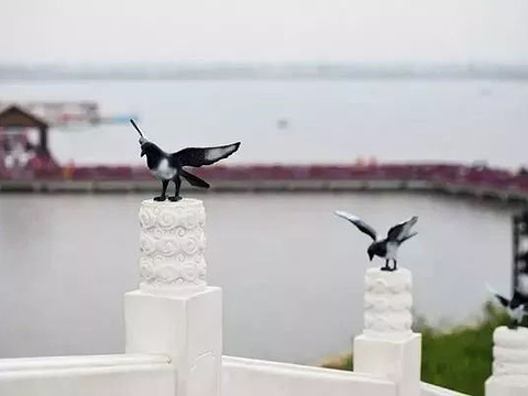 2019昆明池-旅游游记-门票-地址-问答-公园点评沙巴攻略海洋攻略图片