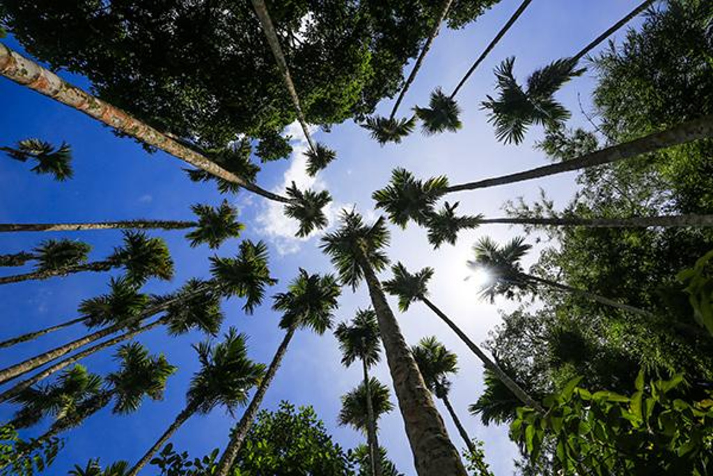 2014印象最深的是黎族女人的纹身、手工织坊