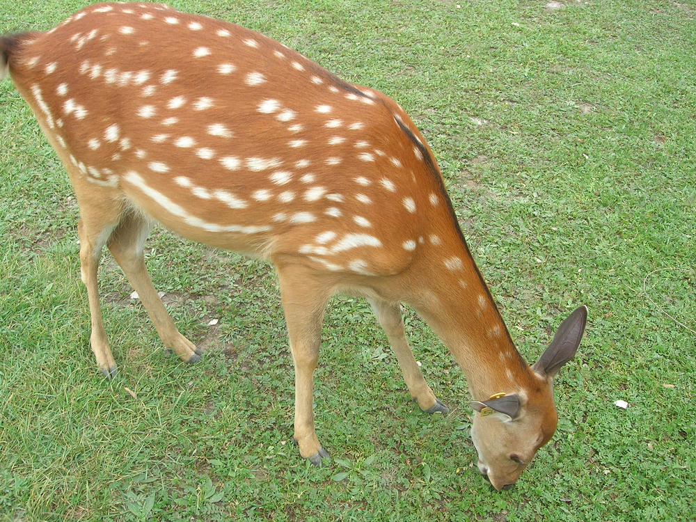 内蒙古之旅_包头旅游攻略