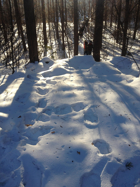 长春净月潭的激情冰雪世界_长春旅游攻略_自