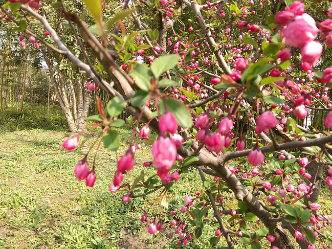 扬州、南京3日游_扬州旅游攻略