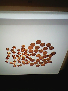 2014河北省博物馆_旅游攻略_门票_地址_游记